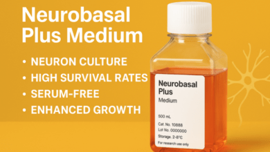 Neurobasal plus