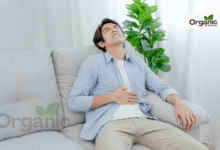 Pet Mein Infection All well health organic