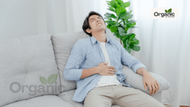 Pet Mein Infection All well health organic