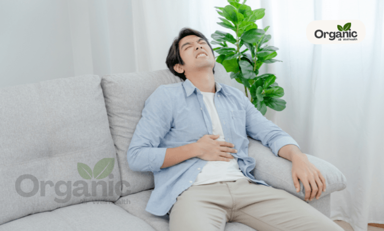 Pet Mein Infection All well health organic