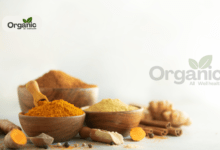 Powerful Ayurvedic Spices And Their Health Benefits All Wellhealthorganic