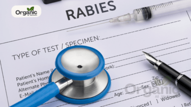 Rabies Symptoms All Well Health Organic
