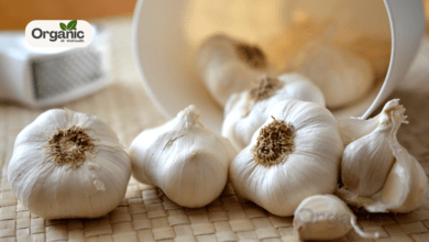 Benefits of Rubbing Garlic Cloves On Feet