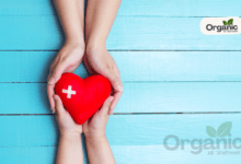 Sexual Health 5 Reasons to Avoid Physical Intimacy During Periods All well health organic