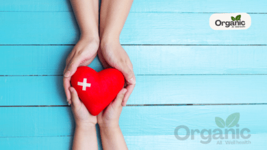 Sexual Health 5 Reasons to Avoid Physical Intimacy During Periods All well health organic