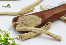 Shatavari To Tulsi All Wellhealthorganic