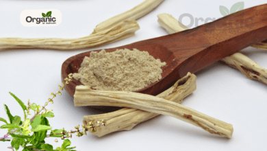 Shatavari To Tulsi All Wellhealthorganic