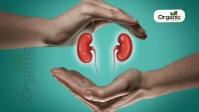 Signs of Poor Kidney Health Well health Organic