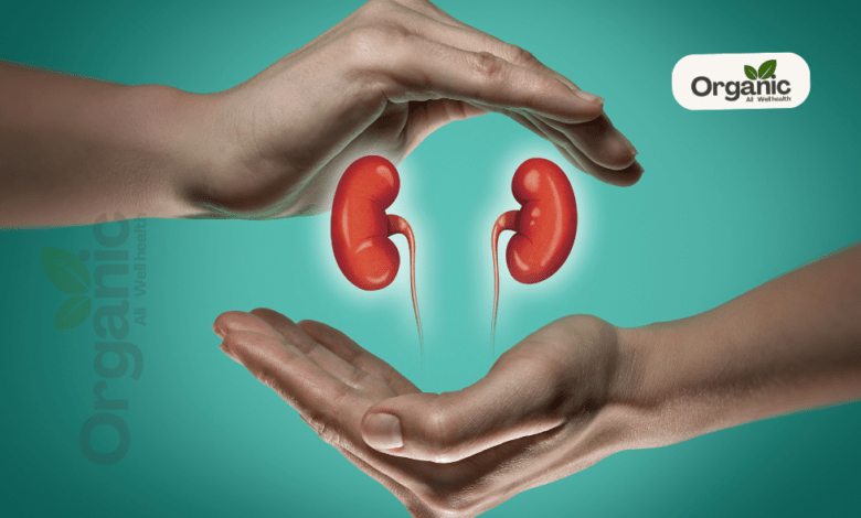 Signs of Poor Kidney Health Well health Organic