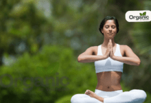 पाचन शक्ति को बेहतर बनाने के लिए योगासन | Yoga Poses to Improve Digestion Well health Organic