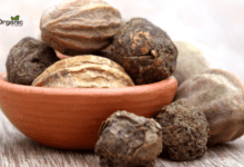 5 Benefits Of Eating Haritaki On An Empty Stomach Allwellhealthorganic
