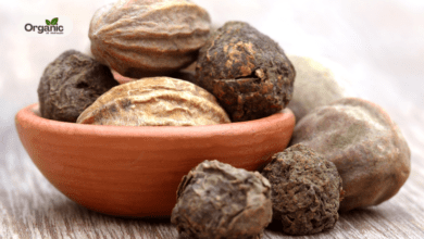 5 Benefits Of Eating Haritaki On An Empty Stomach Allwellhealthorganic
