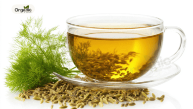 6 amazing health benefits of starting your day with fennel tea Allwellhealthorganic