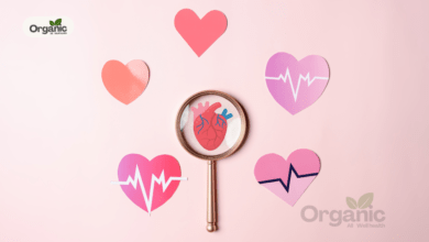 An Ayurvedic Guide to Heart Health Allwellhealthorganic