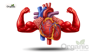Ayurvedic Tips for a Healthy and strong heart Allwellhealthorganic