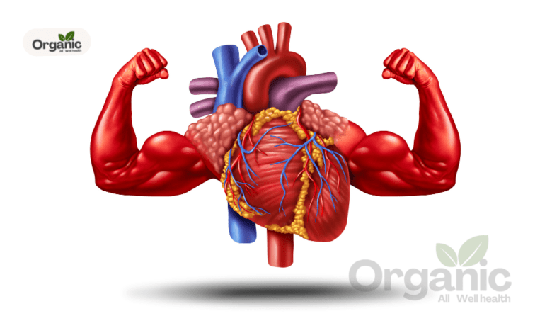 Ayurvedic Tips for a Healthy and strong heart Allwellhealthorganic