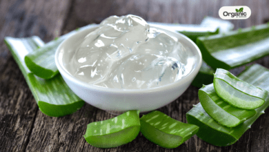Chehre Par Aloe Vera Lagane Ke Nuksan
