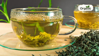 Drinks For Bloating | 7 Drink Recipes To Help You Get Rid of Stomach Gas