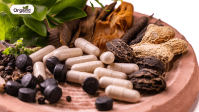 Exploring 5 Potential Health Benefits Of Ayurvedic Medicine Allwellhealthorganic