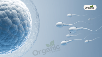 क्या आयुर्वेद की मदद से Fertility बढ़ सकती है? जानिए Female Egg क्वालिटी बढ़ाने के उपाय