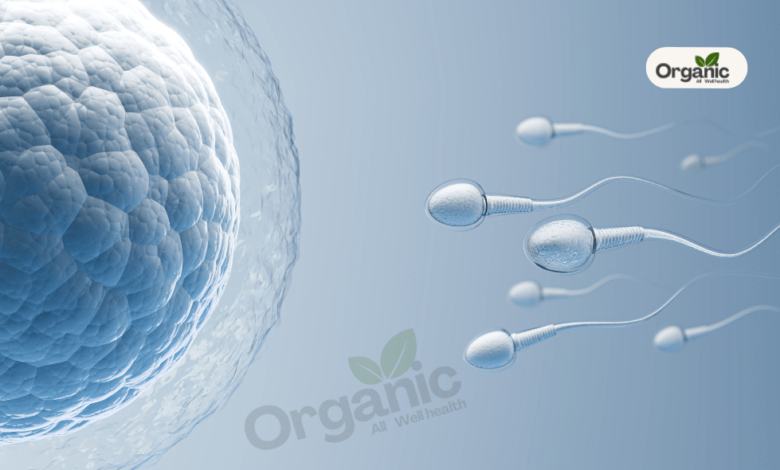 क्या आयुर्वेद की मदद से Fertility बढ़ सकती है? जानिए Female Egg क्वालिटी बढ़ाने के उपाय