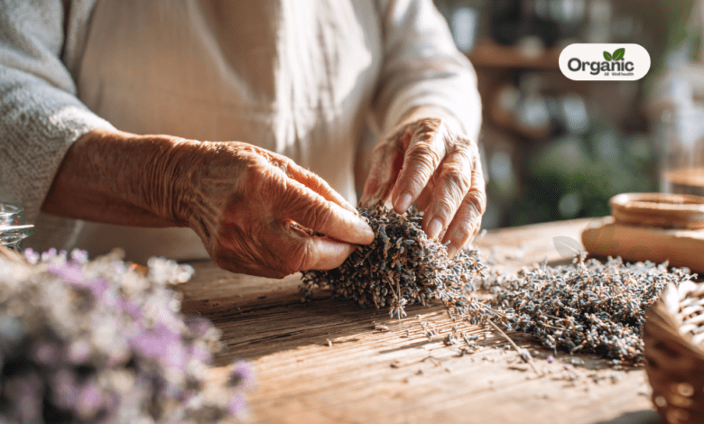 Healing Herbs Benefits From Ashwagandha To Ginger Know How They Help You Allwellhealthorganic