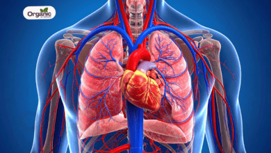 Heart Health Management