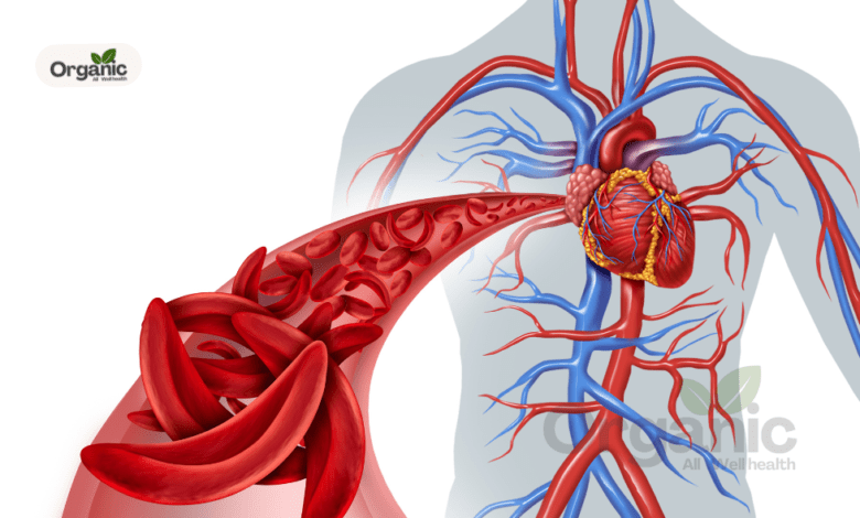 Heart blockage treatment in ayurveda Allwellhealthorganic