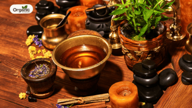How Ayurveda Helps Balance Vata, Pitta And Kapha Doshas To Naturally Prevent Diseases