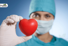 Signs of a Healthy Heart In Summer | 7 Clear Indicators Your Heart Is Working Just Fine