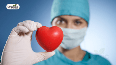 Signs of a Healthy Heart In Summer | 7 Clear Indicators Your Heart Is Working Just Fine