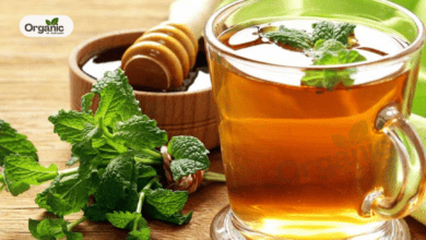 Natural Ayurvedic Drink To Clear Clogged Arteries Allwellhealthorganic