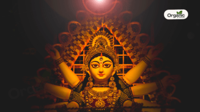 Navratri 2025 नवरात्रि उपवास के दौरान भूख को कंट्रोल करने के 5 उपाय Allwellhealthorganic