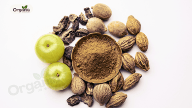 Top 6 Ayurvedic Superfoods That Can Transform Your Health Allwellhealthorganic