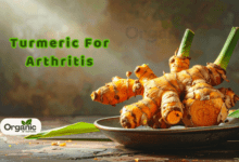 Turmeric For Arthritis Here How Haldi Can Help Ease Joint Pain And Inflammation Allwellhealthorganic