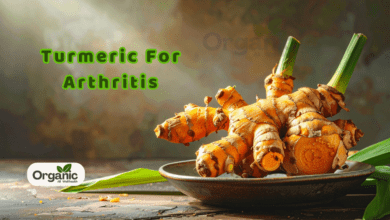 Turmeric For Arthritis Here How Haldi Can Help Ease Joint Pain And Inflammation Allwellhealthorganic