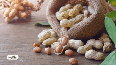 7 Amazing Health Benefits Of Consuming Peanuts During Winter Allwellhealthorganic