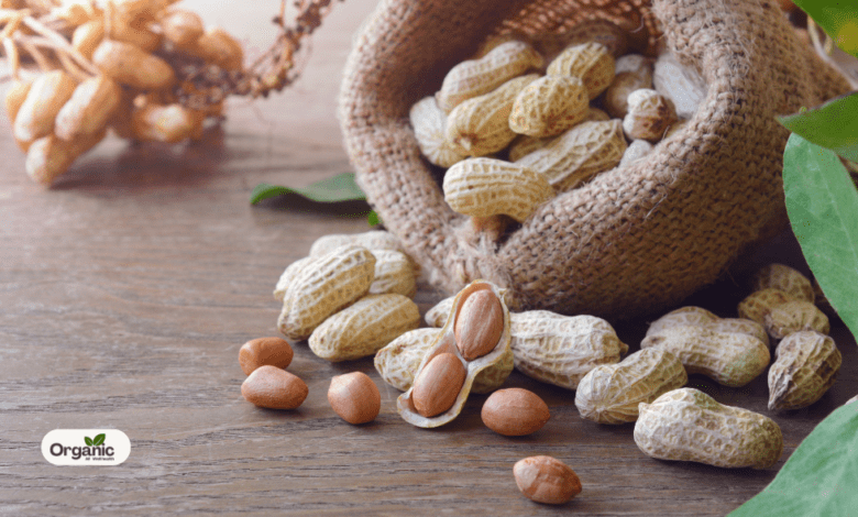 7 Amazing Health Benefits Of Consuming Peanuts During Winter Allwellhealthorganic