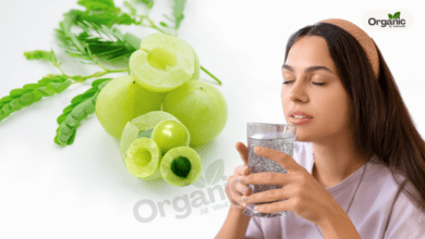 Amla Chia Seeds Water Allwellhealthorganic