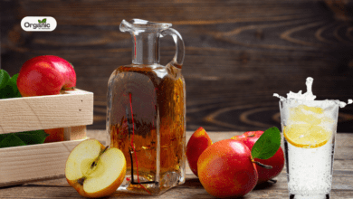Apple Cider Vinegar Vs Lemon Water | वज़न घटाने के लिए कौन सा बेहतर है?