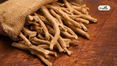 Ashwagandha Benefits Allwellhealthorganic (1)