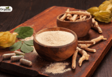 Ashwagandha आधुनिक जीवन में एक आवश्यक स्वास्थ्य साथी Allwellhealthorganic