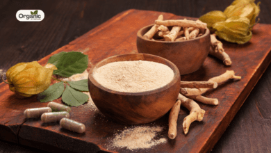 Ashwagandha आधुनिक जीवन में एक आवश्यक स्वास्थ्य साथी Allwellhealthorganic