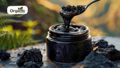 Ayurveda For Optimal Health | How Shilajit Is Revolutionising Men's Wellness | Allwellhealthorganic