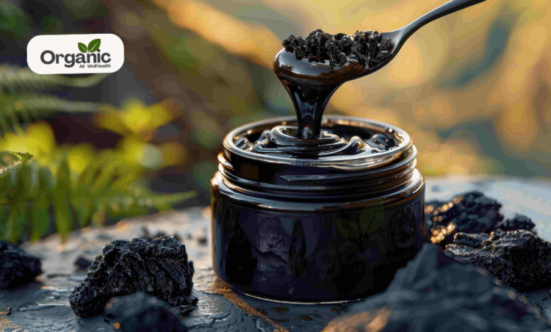 Ayurveda For Optimal Health | How Shilajit Is Revolutionising Men's Wellness | Allwellhealthorganic