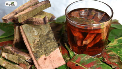 Benefits Of Arjuna प्रभाव महसूस होने में कितना समय लगता है Allwellhealthorganic