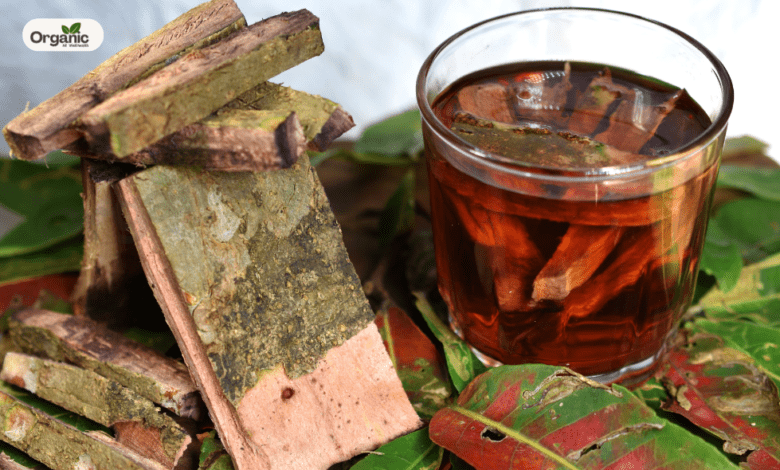 Benefits Of Arjuna प्रभाव महसूस होने में कितना समय लगता है Allwellhealthorganic