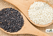 Black Vs White Sesame Seeds Allwellhealthorganic