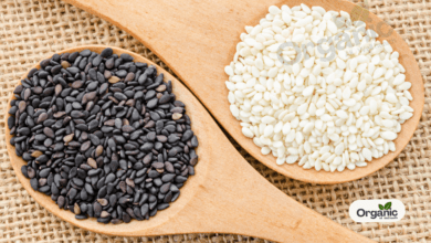 Black Vs White Sesame Seeds Allwellhealthorganic