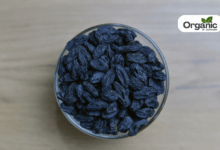 Black myrobalan Benefits and Uses allwellhealthorganic